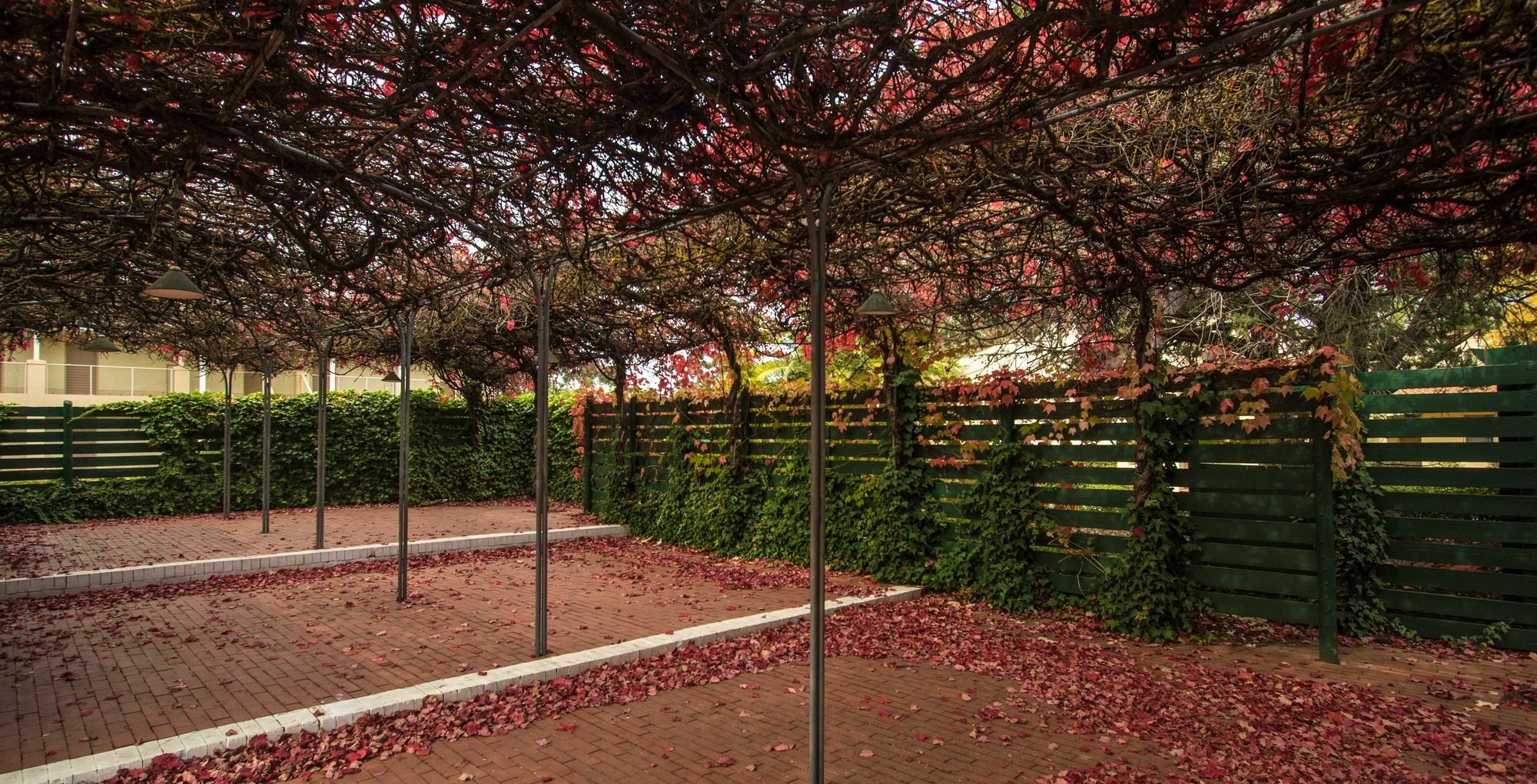 Barossa Weintal Hotel Тананда Екстериор снимка
